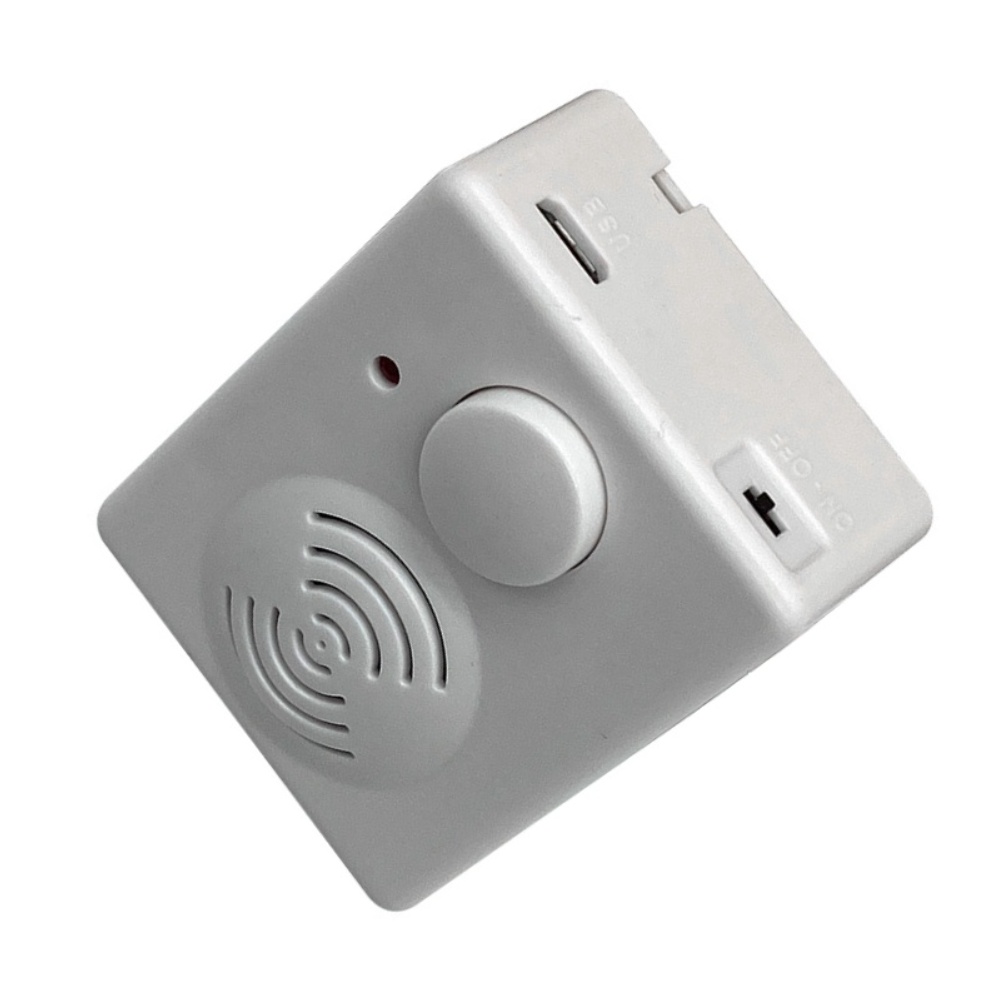 Modulo Musicale Personalizzabi - Audio Music Upload recensione e prezzo