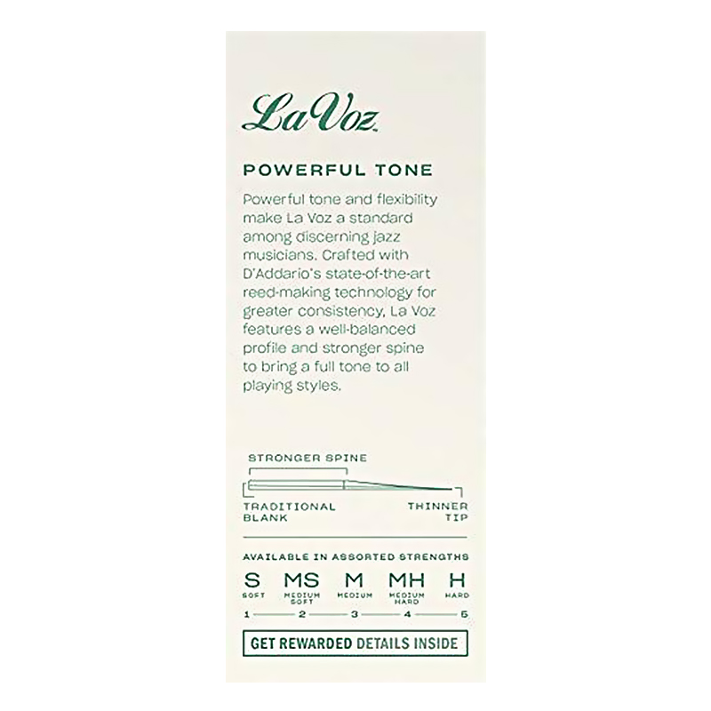 RICO La Voz Lavoz Woodwinds An - Trumpet Valve Oil recensione e prezzo